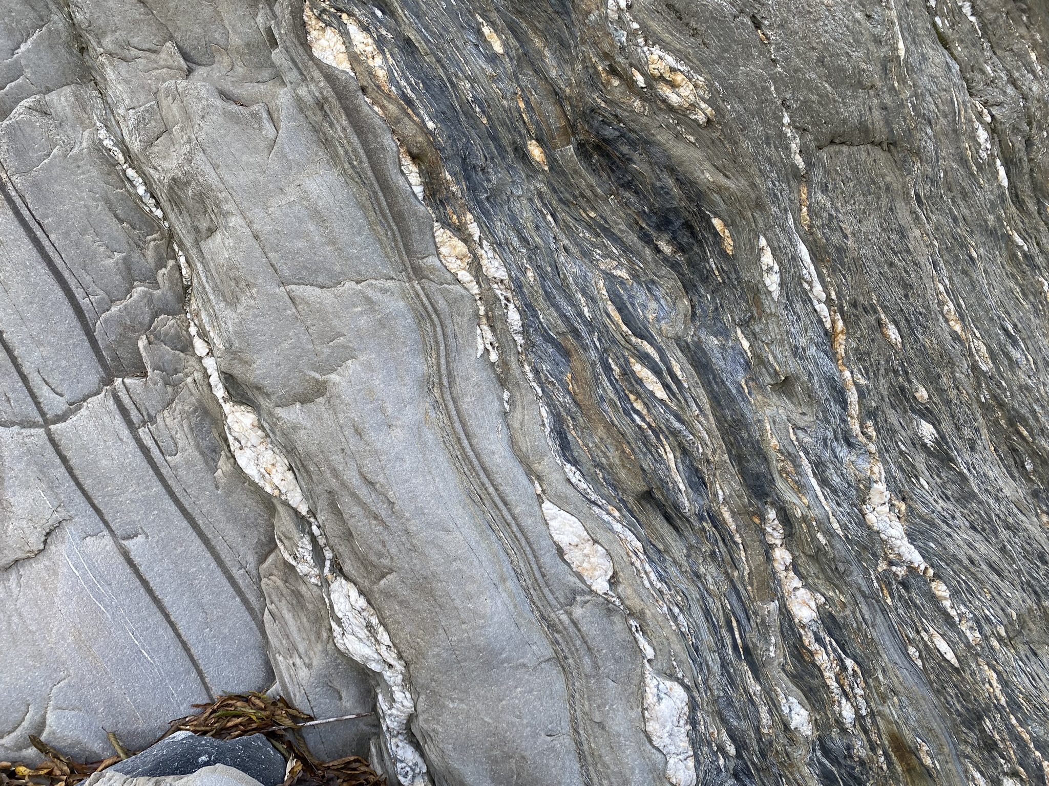 Highly Sheared Metamorphic Rocks in the Tanano Schist Region