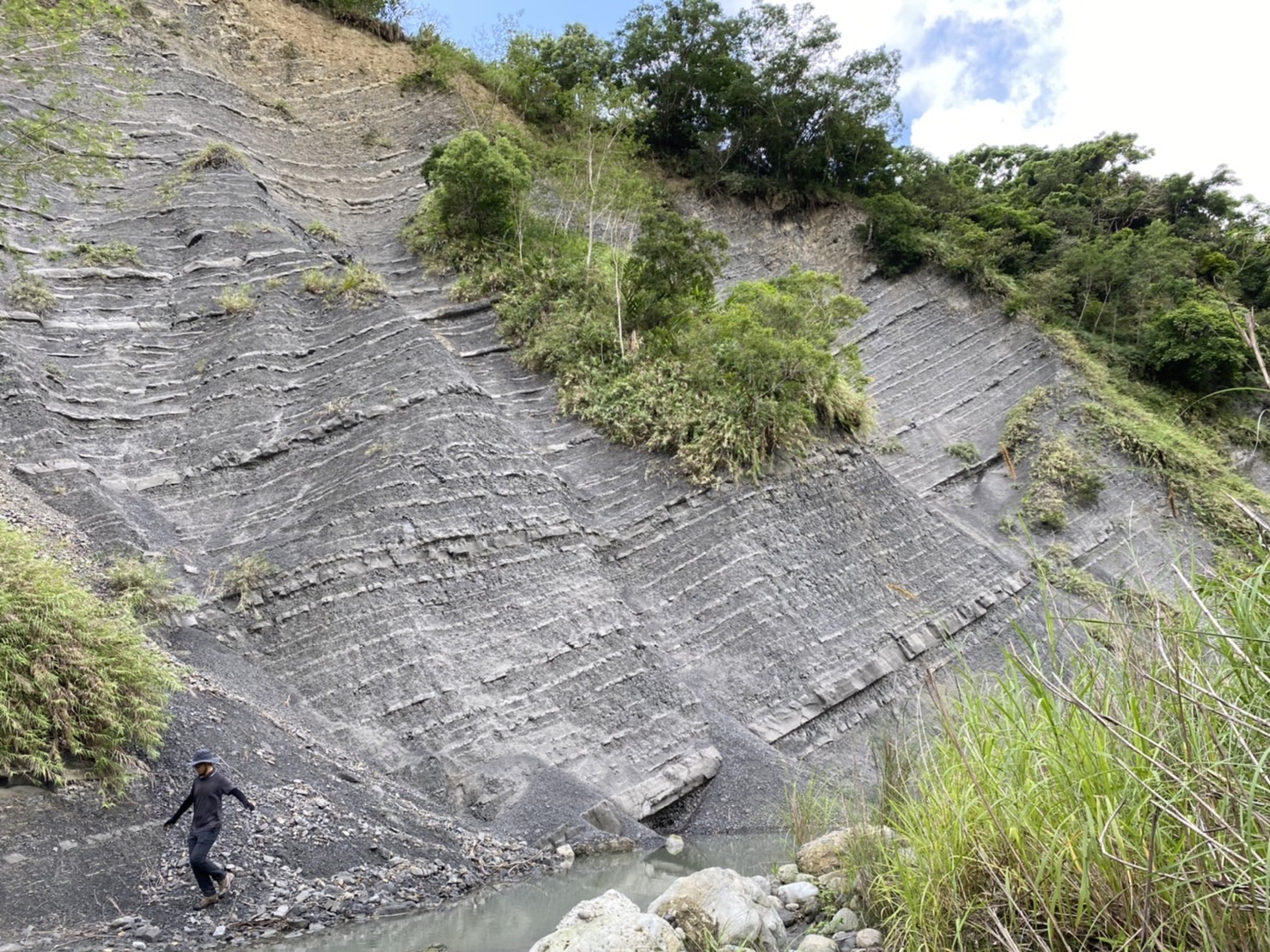 Sandstone and Shale Interlayers of the Paliwan Formation in the Coastal Range